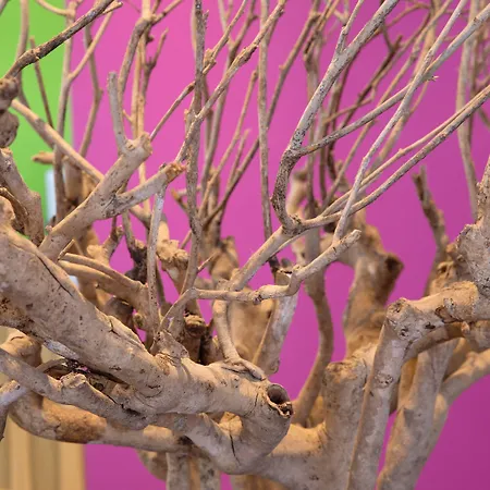 Amh Airport-messe-hotel Stuttgart Filderstadt