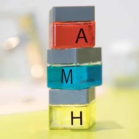 Amh Airport-messe-hotel Stuttgart Hotel Filderstadt